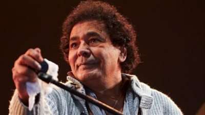 في كل مكان.. العلم الفلسطيني يزين أجواء حفل محمد منير