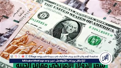 استقرار سعر الدولار الأمريكي مقابل الجنيه المصري في ختام تعاملات الجمعة 12 يوليو 2024