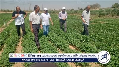 رغم الموجة الحارة.. قيادات 