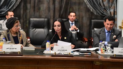 تصريح مهم من وزيرة التضامن بشأن الاستثمارات ذات العائد الاجتماعي ودعم الفئات الأكثر احتياجا