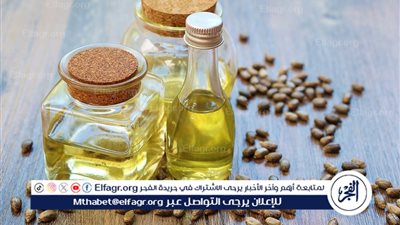 فوائد زيت الخروع: السحر الطبيعي للصحة والجمال