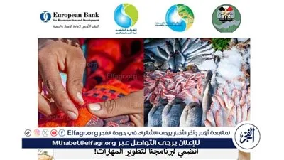 إطلاق برنامج تدريبي متخصص لتعزيز قدرات السيدات بالفيوم 