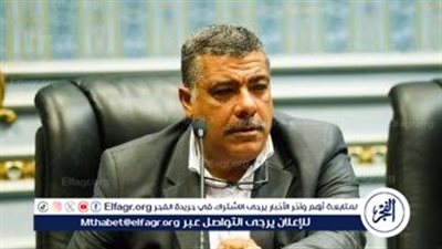 برلماني: نسبة تمثيل الصناعة في الناتج القومي لمصر 10٪ فقط