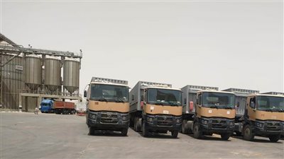 أسوان تورد 452 ألفا و710 أطنان وبنسبة 123.4% من القمح