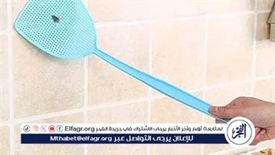 5 طرق فعالة منزلية للقضاء على الذباب في الصيف