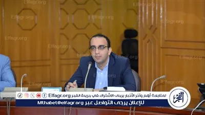 نائب محافظ الإسماعيلية يتابع جهود الوحدات المحلية لمكافحة الحشرات الطائرة