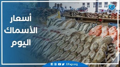 أسعار السمك اليوم الأربعاء 17-7-2024 في محافظة الدقهلية