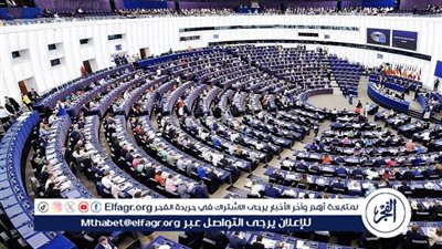  البرلمان الأوروبي: نحن بحاجة إلى ضغط دولي قوي لإنهاء هذا العدوان الإسرائيلي على غزة