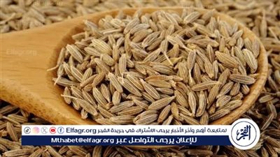 هل تناول الكمون على الريق يزيد الحرق؟ مجدي نزيه يوضح