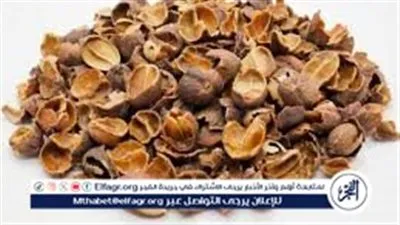 تعالج الصداع وتقوي الجهاز المناعي.. فوائد قشور القهوة