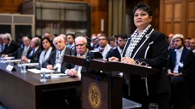 نميرة نجم: محكمة العدل الدولية أصدرت قرارا تاريخيا ضد إسرائيل يعيد الثقة في منظومة العدالة الدولية