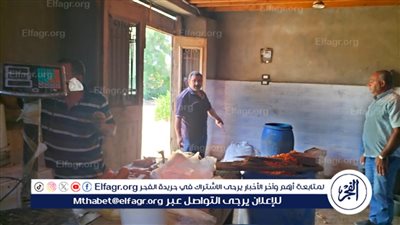 غلق 68 منشأة و12 جنحة صحية بحملة مكبرة لمراقبة الأغذية بالدقهلية