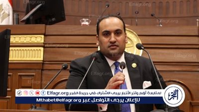 برلماني: ثقة البرلمان في الحكومة يؤكد أن برنامجها ينحاز للوطن والمواطن