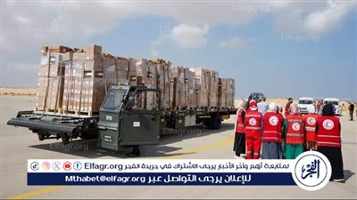 الإمارات تكشف عدد قوافل المساعدات المرسلة إلى غزة منذ بدء 