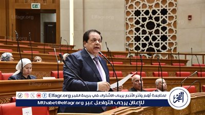 أبو العينين: مصر كنز استثماري واعد من الذهب والنحاس إلى البرمجيات والطاقة المتجددة
