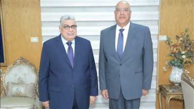 رئيس مجلس الدولة يبحث التعاون مع رئيس الجهاز المركزي للمحاسبات