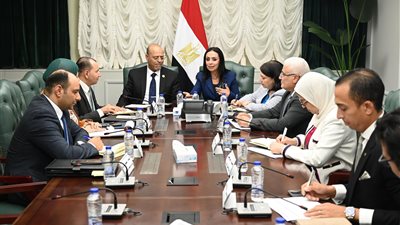 وزيرة التضامن الاجتماعي ووزير العمل يبحثان ملف العمالة غير المنتظمة