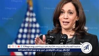 أستاذ علوم سياسية: يجب على معسكر ترامب تغيير الاستراتيجية للتعامل مع كامالا هاريس