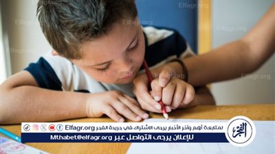 كيف كفل قانون 