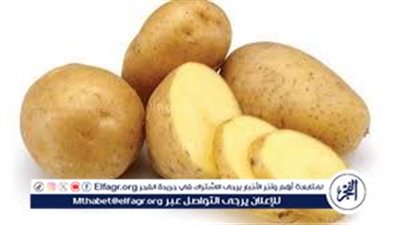 نائب شعبة الخضروات يكشف عن موعد انخفاض أسعار الطماطم والبطاطس (فيديو)