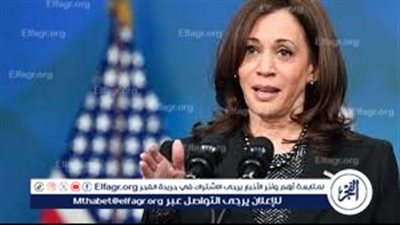 عضو الحزب الديمقراطي الأمريكي: جمع 81 مليون دولار لدعم كاميلا هاريس من المواطنين (فيديو)
