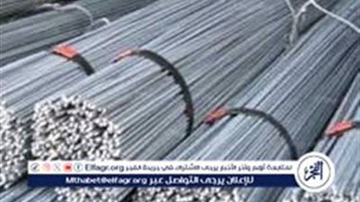 سعر طن الحديد اليوم 24 يوليو 2024