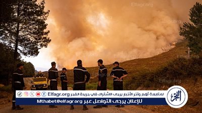 اندلاع حرائق غابات في عدة ولايات جزائرية