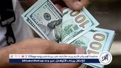 استقرار سعر الدولار في البنوك المصرية وتوقعات مراجعة صندوق النقد الدولي
