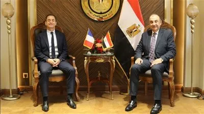 وزير قطاع الأعمال العام يبحث مع سفير فرنسا سبل زيادة الشراكات الاستثمارية 