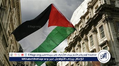 أستاذ علوم سياسية: القضية الفلسطينية في سباق بين جهود التهدئة وتفاقم الصراع