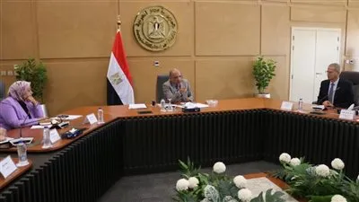 الكهرباء: إضافة حصة الطاقات المتجددة وأنظمة تخزين الطاقة ومشروع الربط ضمن الأولويات لتحقيق الاستقرار الكهربائى