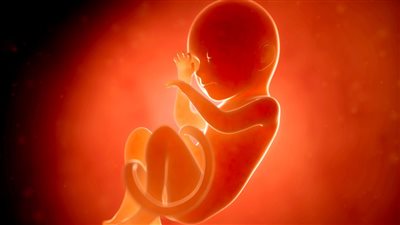  أكلات تزيد وزن الجنين.. أهمية التغذية أثناء الحمل