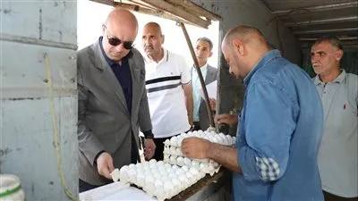 محافظ بني سويف يتفقد سير العمل بمشروعات الدواجن المركزية