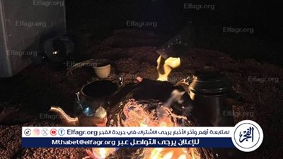ضبط مخالف لنظام البيئة لإشعاله النار في أراضي الغطاء النباتي بحائل