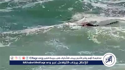 العثور علي جثة غريق بشاطئ بورسعيد