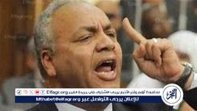 عن مبادرة الإخوان الإفراج مقابل الاعتزال السياسي.. 