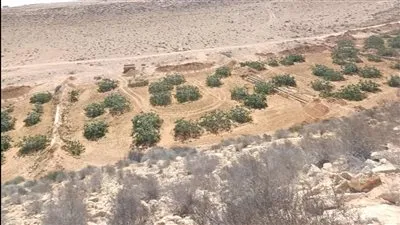 وزير الزراعة ومحافظ مطروح يتفقدان جهود التنمية الزراعية في منطقة وادى الحريقة 