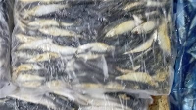 ضبط 3 أطنان لحوم ودواجن وأسماك فاسدة بالمنوفية