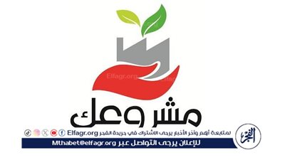 التنمية المحلية: 