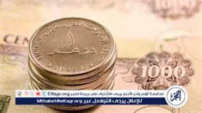 استقرار سعر الدرهم الإماراتي مقابل الجنيه المصري اليوم 2 أغسطس 2024