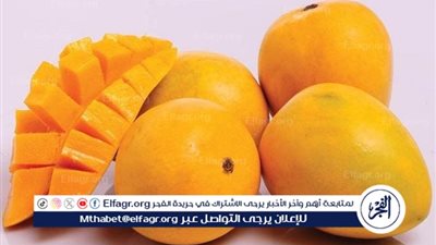 المانجو: الفوائد الصحية والمخاطر الخفية