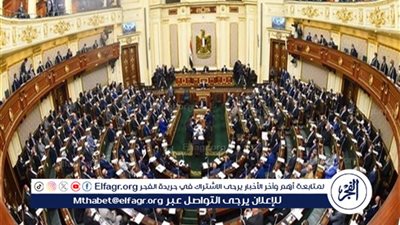 بعد إقراره بالانعقاد الرابع.. التفاصيل الكاملة لقانون تأمين وحماية المنشآت والمرافق العامة في الدولة