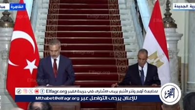 عبدالعاطي: بحثت مع وزير الخارجية التركي العمل على زيادة عدد السياح الأتراك إلى مصر