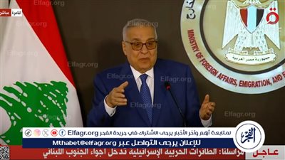وزير الخارجية اللبناني: نثمن الجهود المصرية الرامية لدعم لبنان (فيديو)