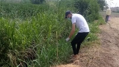 الزراعة تتابع المحاصيل الاستراتيجية وتكافح الآفات والقوارض في منطقتي توشكى وشرق العوينات 