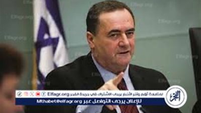 خبير: تصريحات وزير الدفاع الإسرائيلي بشأن اغتيال إسماعيل هنية موجهة للداخل الصهيوني