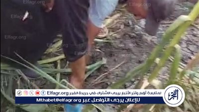 تفاصيل العثور على جثة شاب في أرض زراعية بعد اختفائه 34 يوم پالدقهلية 