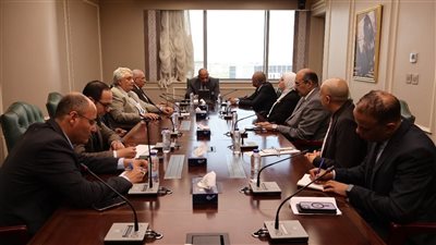 وزير الكهرباء: نعمل على تلبية الاحتياجات ومواجهة التعديات والسرقات بتغليظ العقوبات