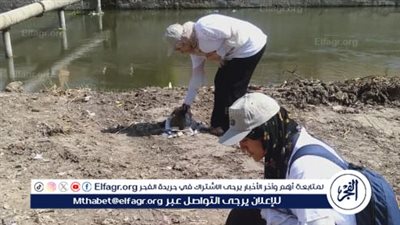حملة مكبرة للنظافة ورفع الملوثات الصلبة الملوثة لبحر يوسف بالفيوم