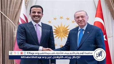 أردوغان خلال لقائه أمير قطر: اغتيال هنية أظهر أن إسرائيل لا تنوي التوصل إلى حل